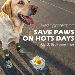 EXPAWLORER dog socks shielding paws from hot pavement during sunny strolls