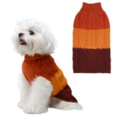 EXPAWLORER dog sweater orange front view keeps small dogs cozy on chilly days