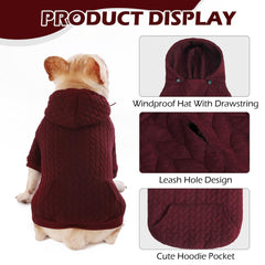 EXPAWLORER hoodie pocket close-up demonstrates convenient back pocket for treats.