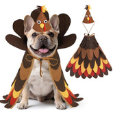 expawlorer Thanksgiving dog turkey costume front view, ideal for cute holiday photos