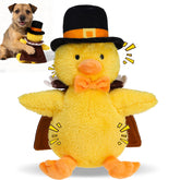 EXPAWLORER Thanksgiving squeaky duck toy close-up shows dual squeakers for engaging play