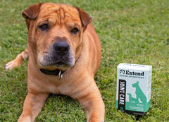 Extend Joint Care for Dogs powder close-up of texture
