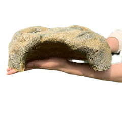 Extra Large Resin Reptile Hide front view provides secure resting space.