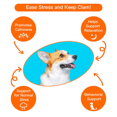 Extragele Heartbeat Puppy Toy in paw demonstrates portable comfort for crate training