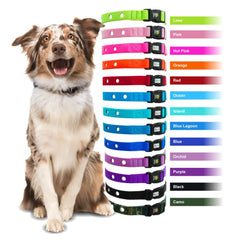 Extreme Dog Fence replacement strap close-up buckle demonstrates secure curved locking.