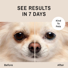 Eye Envy Gentle Action Applicator Pads enable gentle removal around the eye area.