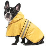Ezierfy Raincoat Dogs on a small puppy demonstrates lightweight waterproof protection during a walk.
