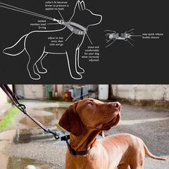 EzyDog Checkmate cinching design shows secure fit when pulled for escape-proof control.