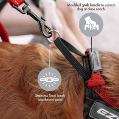 EzyDog Express Harness features a side buckle for quick on/off.
