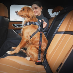 ezydog swivel-hook close-up demonstrates durable abrasion-resistant connection for secure trips