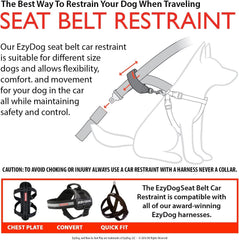 EzyDog seatbelt webbing closeup shows abrasion-resistant nylon durability.
