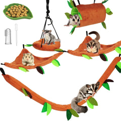 Fabmode sugar glider circle swing provides enrichment and vertical exercise
