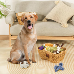 FairyHaus dog toy bin with paw-decor adds cute pet-friendly decor.