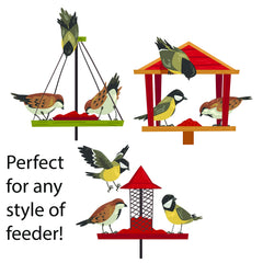 Family Farm and Feed close-up of seeds highlighting energy-rich nutrition for year-round bird feeding