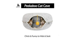 FAMPAWS ventilated window view highlights interactive play and owner-pet bonding.