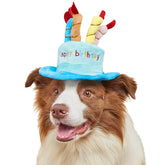 FANBODTA cute pet party hat blue front view for birthday photos