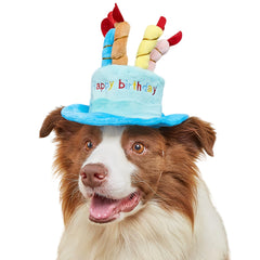 FANBODTA cute pet party hat blue front view for birthday photos