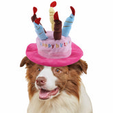 FANBODTA pet party hat blue candles closeup boosts festive pet photo moments