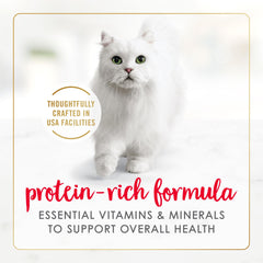 Fancy Feast cat enjoying wet-food bowl demonstrates appetizing aroma and crave-worthy flavor.