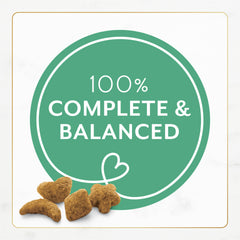 Fancy Feast crunchy kibble morsels offer varied shapes for appealing dining.