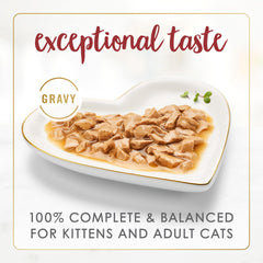 Fancy Feast Gravy Lovers beef bites close-up shows tender chunks and glossy gravy