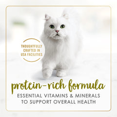 Fancy Feast Pate Turkey and Giblets pate closeup highlights smooth texture cats savor.