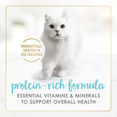 Fancy Feast wet cat food tuna served in a bowl for easy feeding