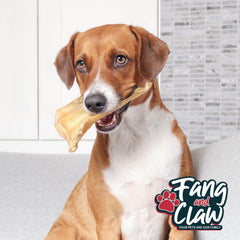 Fang & Claw Water Buffalo Ears in various sizes suited for all dogs.