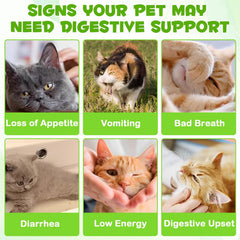 FANGCUN cat-probiotics-liquid-dosing shows easy daily addition to meals.