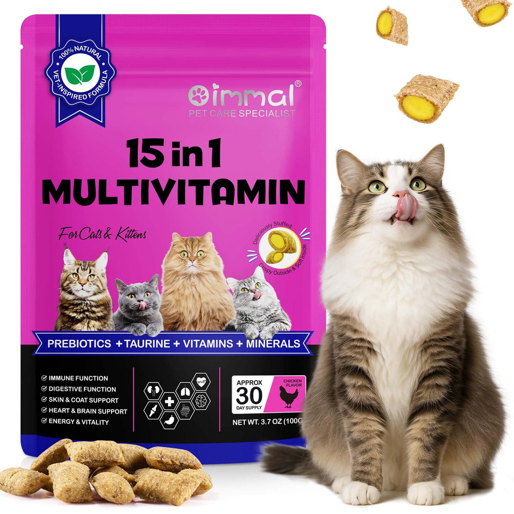 FANSHI 15in1 chicken-flavor chews closeup, immune support for cats.