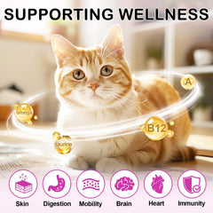 FANSHI prebiotics graphic, promotes healthy gut and balance in cats.