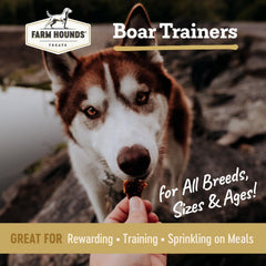 Farm Hounds Boar Trainers ingredients closeup highlights 100% natural boar muscle.