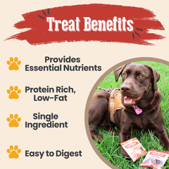 Farm To Pet turkey-treats-dog-training-single-ingredient offers varied protein options.