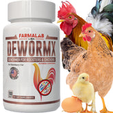 Farmalab Natural Dewormer bottle for convenient poultry health support.