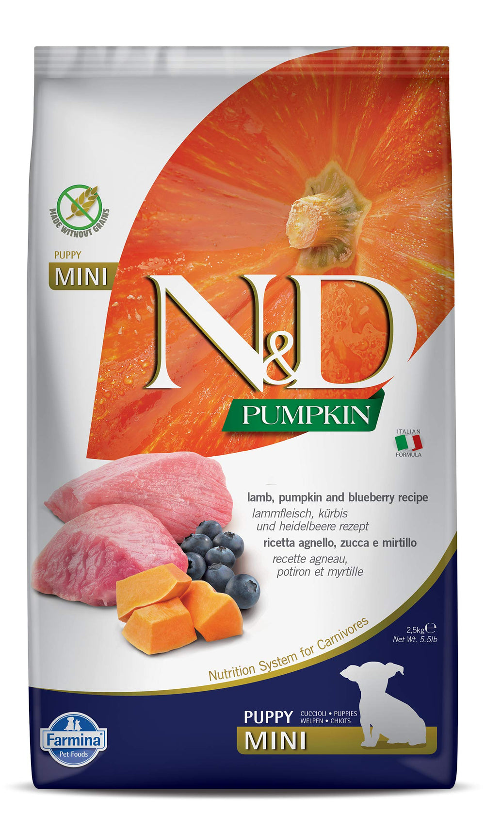 Farmina Dry Mini Puppy Food with lamb pumpkin blueberry kibble for balanced growth.