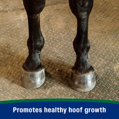Farnam Horseshoer’s Secret bag highlights hoof wall support and essential minerals for resilience.