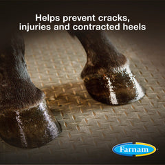 Farnam Rain Maker hoof oil brush ready for easy application on soles and heels