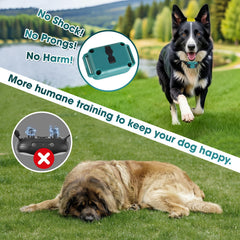 FASHILEAD training modes display, gentle beep and vibration cues.