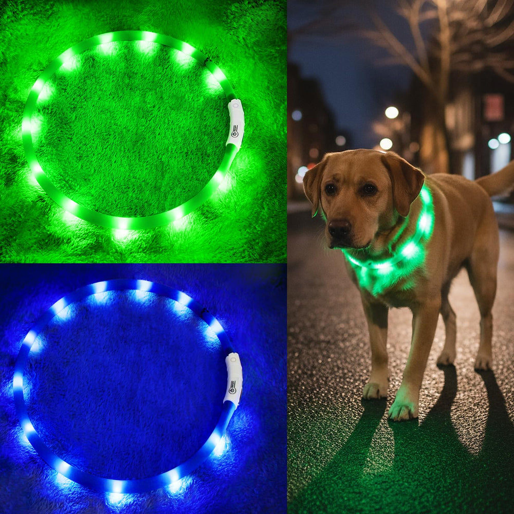 Fashion&cool Light Up Dog Collar USB charging for easy nighttime safety.