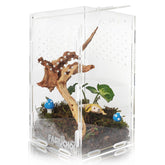 FASIUCHOI small acrylic terrarium with 360-degree view for easy observation of tiny critters.