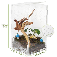 FASIUCHOI ventilated mini terrarium maintains airflow while keeping inhabitants secure.