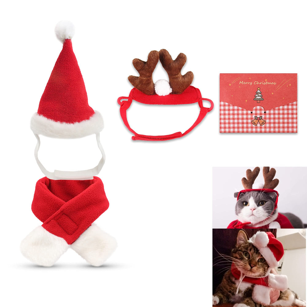 fast and good cat santa hat for festive pet photos