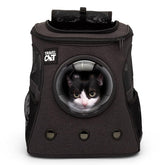The Fat Cat backpack carrier shows airline approval for smooth travel with your cat.