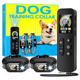 Fatjopet dog collar with dual-channel remote for two-dog training in outdoor spaces