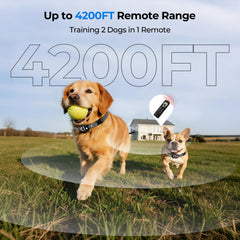 Fatjopet training modes image showing beep, vibration, and safe shock for tailored correction