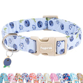 Faygarsle blueberry pattern dog collar close-up showing vibrant print and stitching