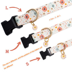 Faygarsle adjustable collar shows growth with comfortable fit.