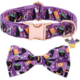 Faygarsle stylish bow-tie dog collar purple buckle for comfortable daily wear.