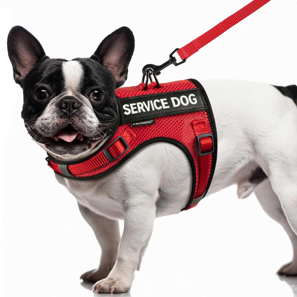 FAYOGOO service dog vest small air mesh shows ultra-light comfort for daily walks.