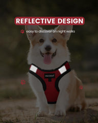 FAYOGOO step-in design shown for quick on-and-off during puppy training